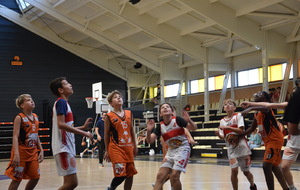 6aca6d6c90a82_DSC4854.JPG